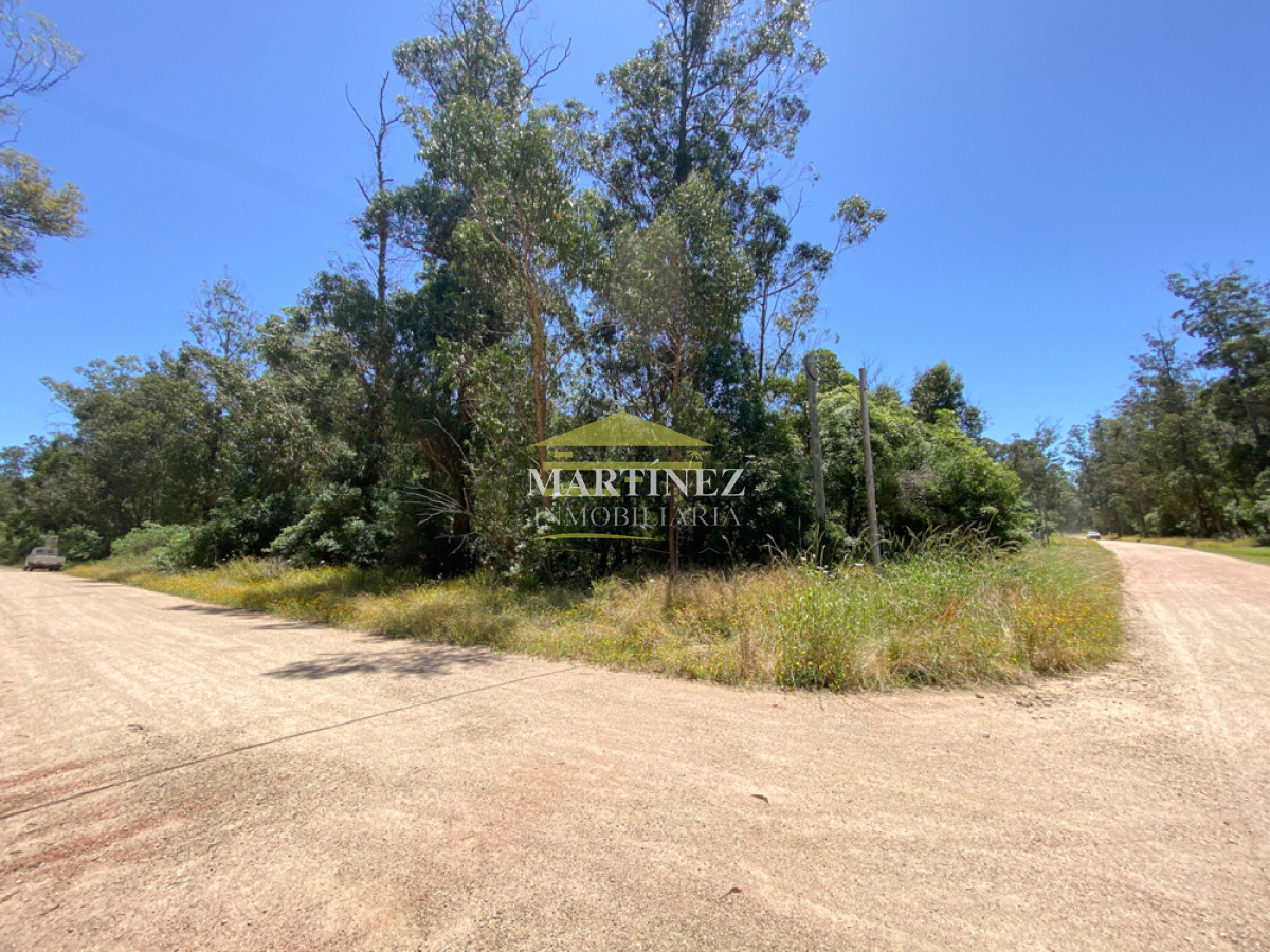 Terreno ID.14 - Venta Terreno Esquinero de 1028m2 situado en Ocean Park