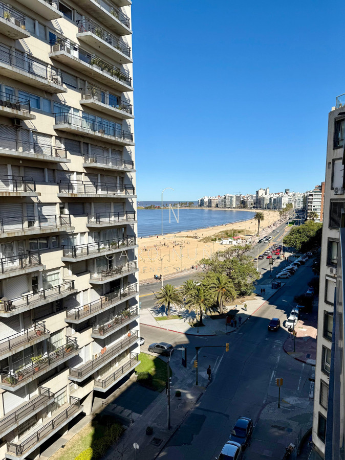 Apartamento ID.565 - Apto en Alquiler, de 3 dormitorios , 2 baños y gge en Pocitos 