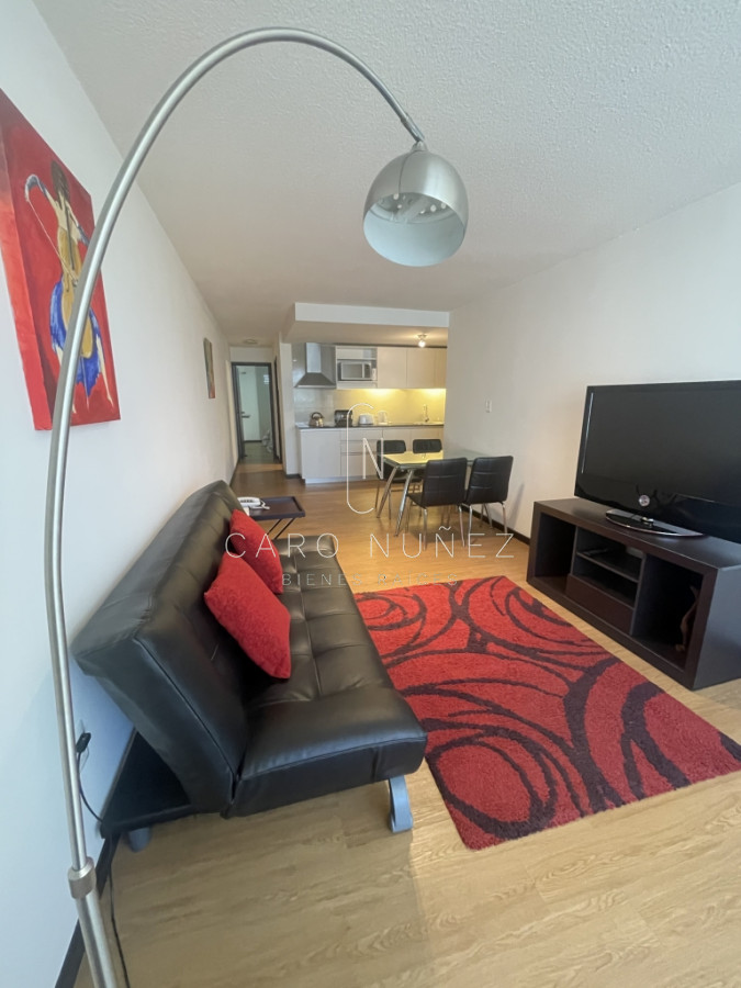 Apartamento ID.188 - Alquiler de apto de un dormitorio amoblado en Pocitos