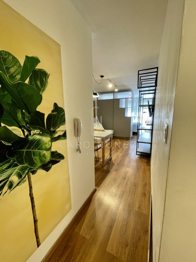 Apartamento ID.339 - Alquiler de monoambiente amoblado con gge