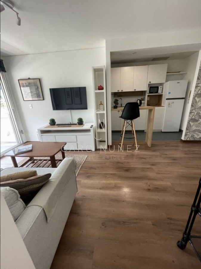 Apartamento ID.433 - Alquiler apto 2 dormitorios con muebles y 2 gges