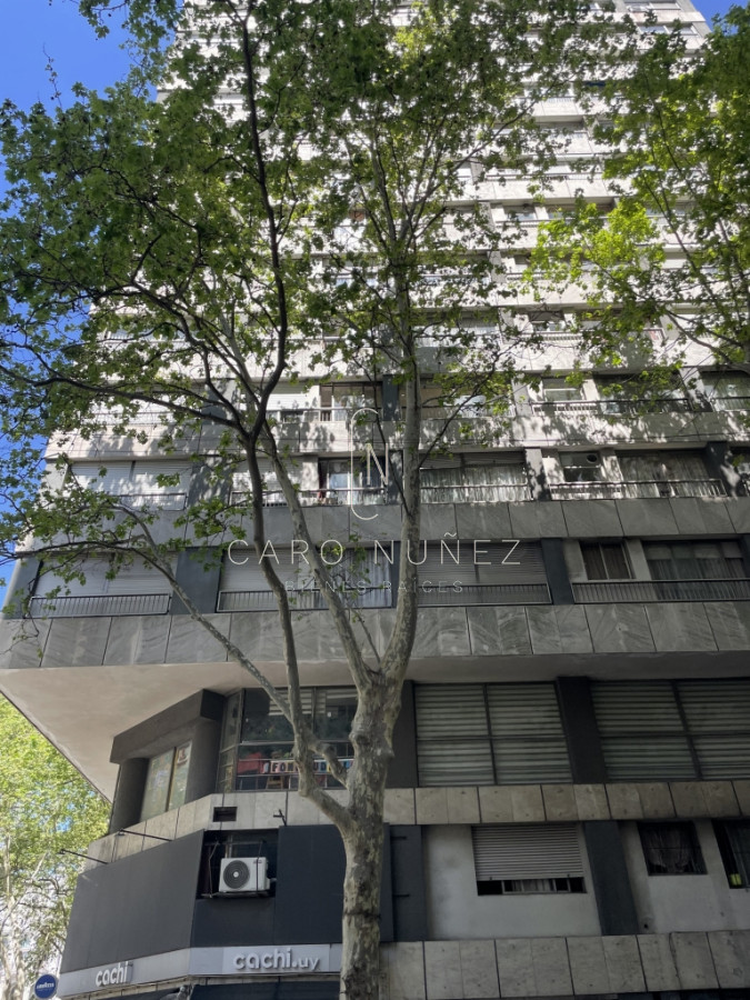 Oficina ID.423 - ALQUILER OFICINA EN EL CENTRO