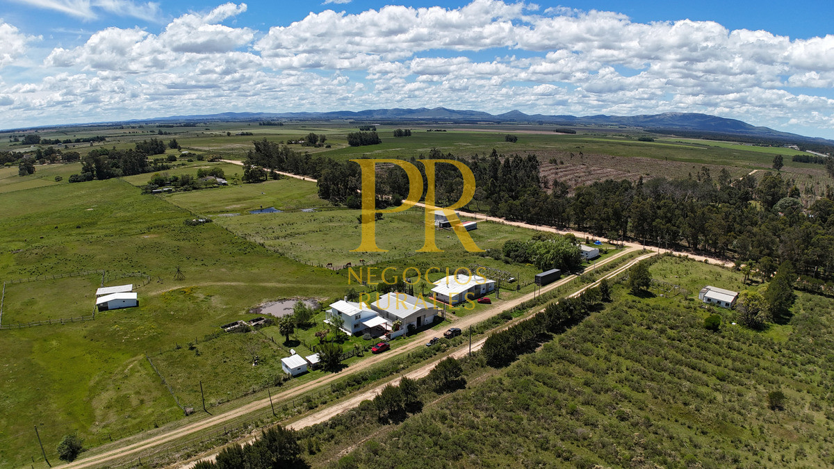 Casa ID.1 - Casa En Venta En Cuchilla Alta