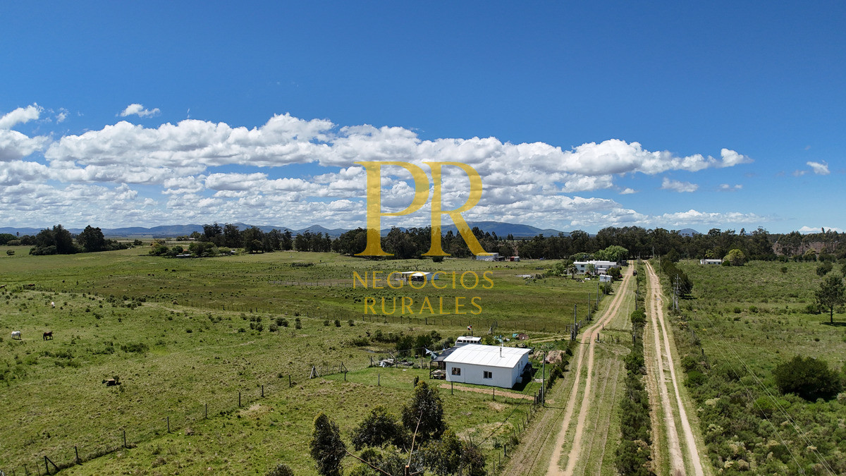 Casa ID.1 - Casa En Venta En Cuchilla Alta