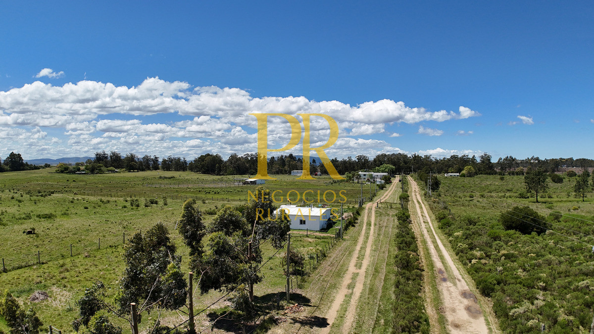 Casa ID.1 - Casa En Venta En Cuchilla Alta