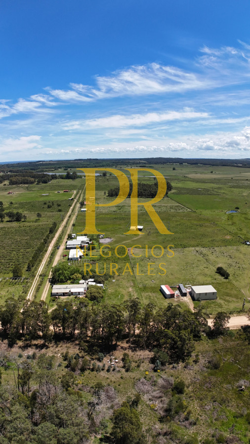 Casa ID.1 - Casa En Venta En Cuchilla Alta