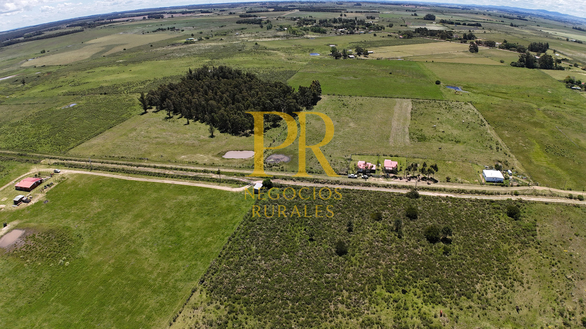 Casa ID.1 - Casa En Venta En Cuchilla Alta