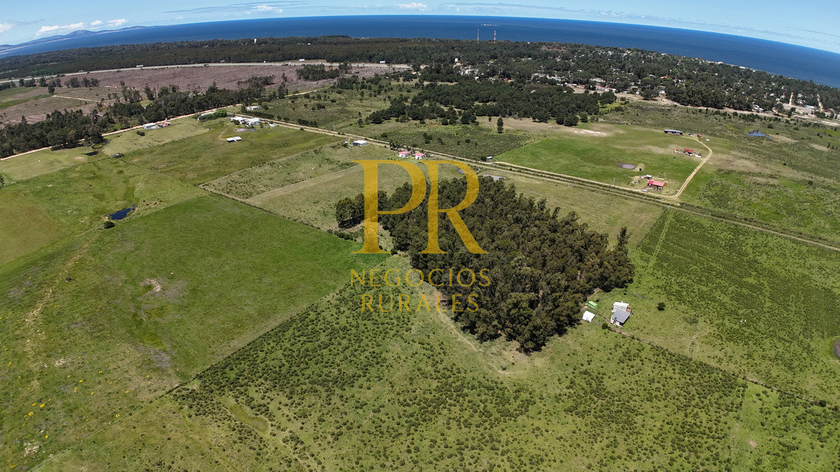 Casa ID.1 - Casa En Venta En Cuchilla Alta