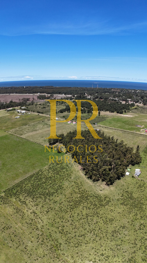 Casa ID.1 - Casa En Venta En Cuchilla Alta