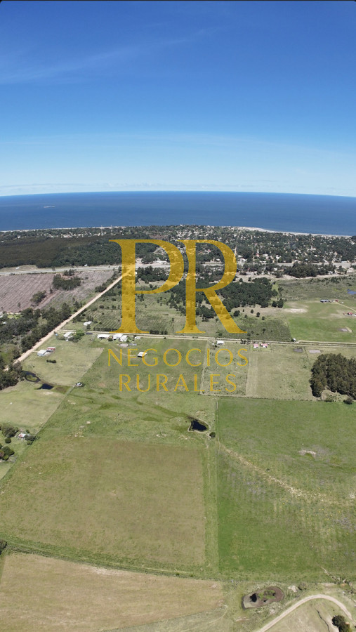 Casa ID.1 - Casa En Venta En Cuchilla Alta