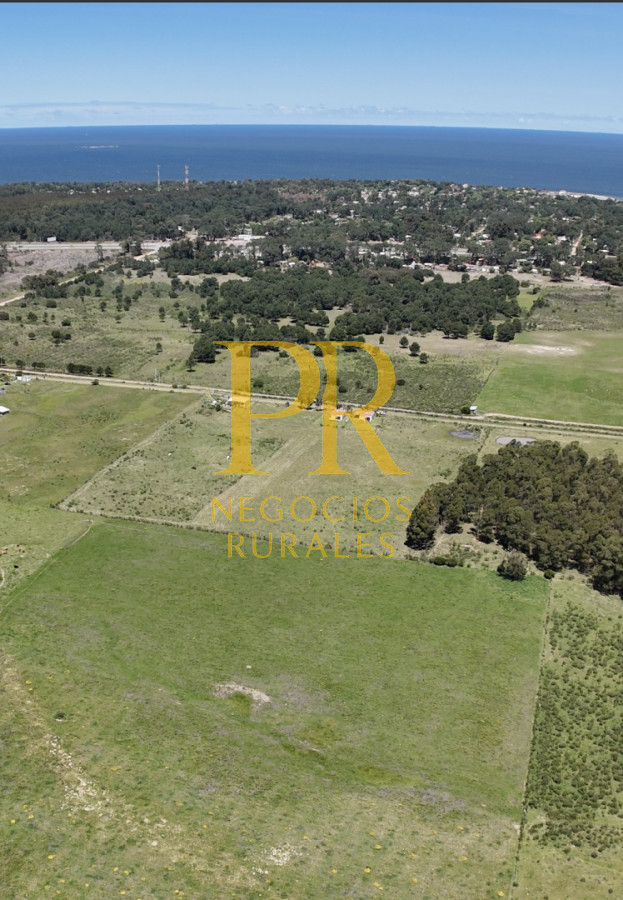 Casa ID.1 - Casa En Venta En Cuchilla Alta