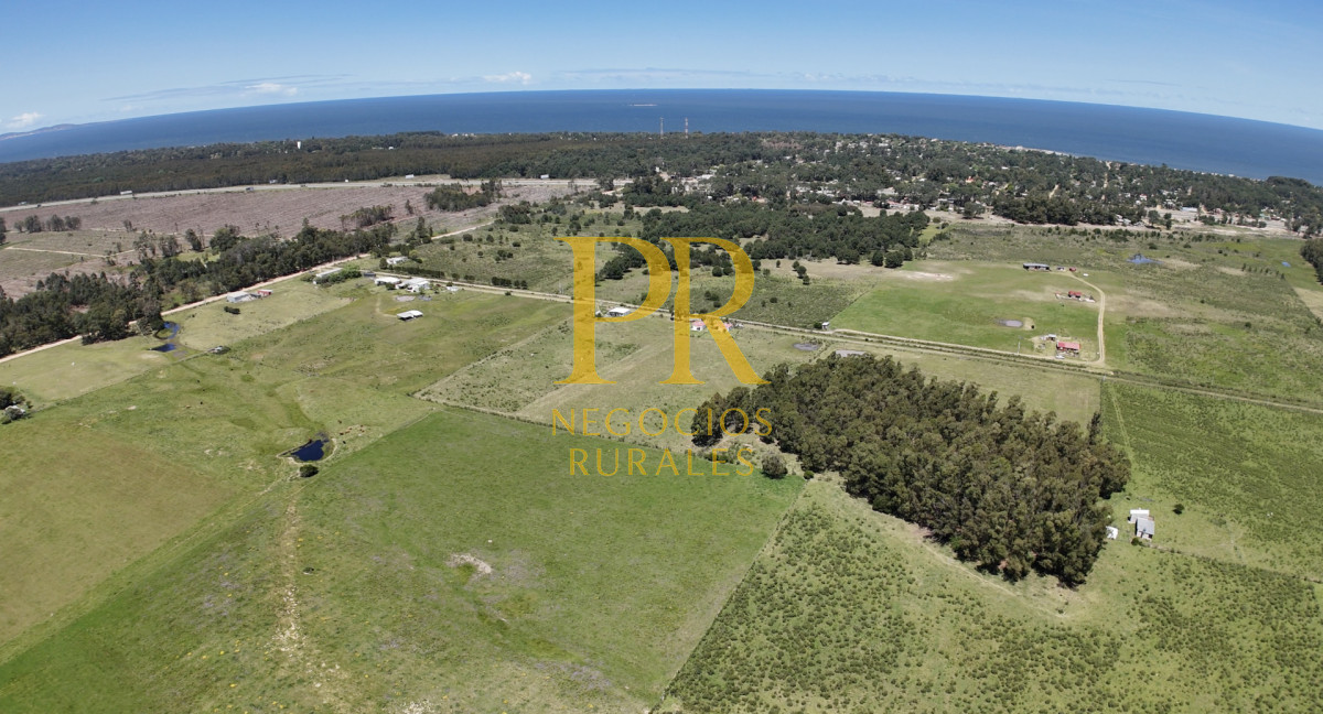 Casa ID.1 - Casa En Venta En Cuchilla Alta