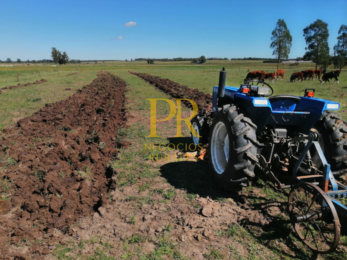 Chacra ID.18 - Chacra próximo a Migues - Costas de Pedernal