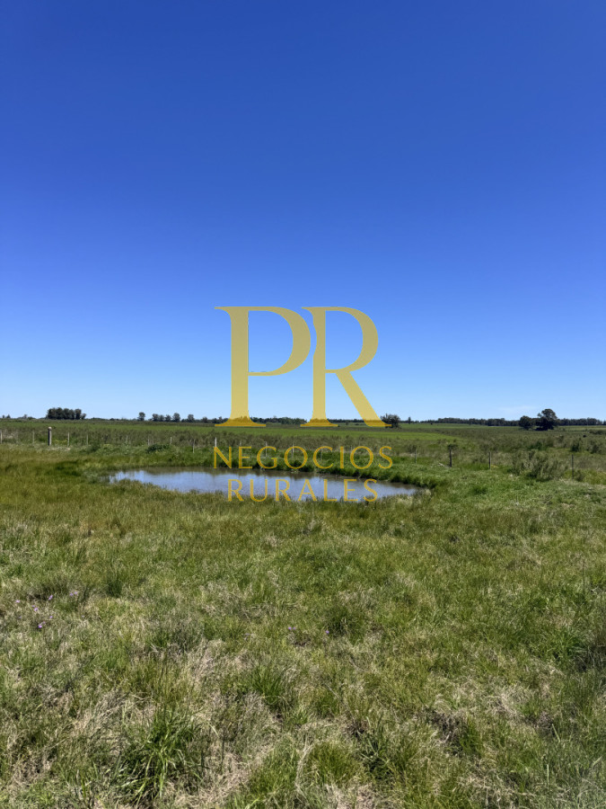 Chacra ID.18 - Chacra próximo a Migues - Costas de Pedernal