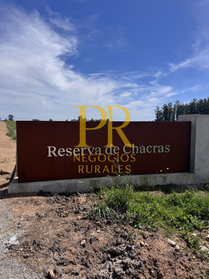 Chacra ID.13 - Chacra En Rocha - Balcones De Rocha - La Paloma Ruta 15