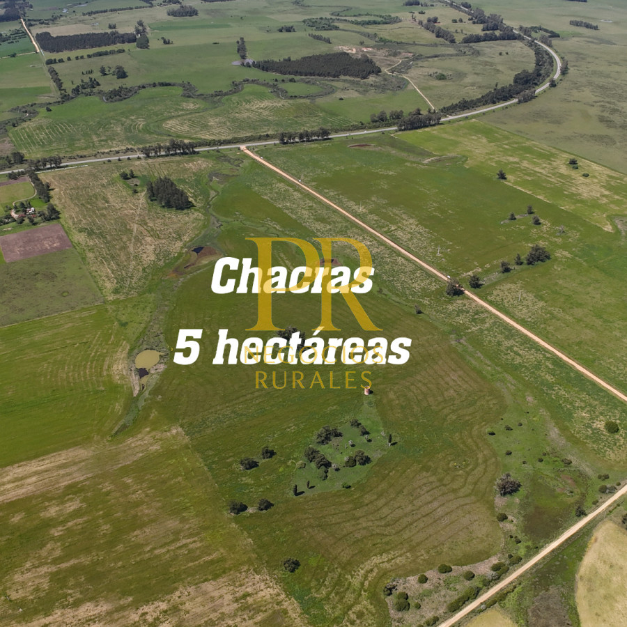 Chacra ID.13 - Chacra En Rocha - Balcones De Rocha - La Paloma Ruta 15