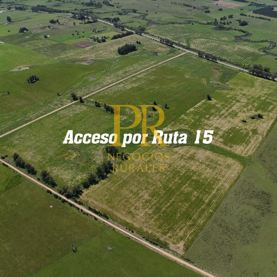 Chacra ID.13 - Chacra En Rocha - Balcones De Rocha - La Paloma Ruta 15