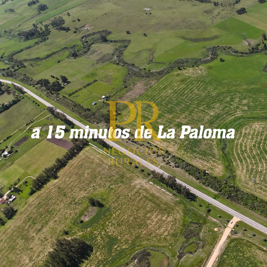 Chacra ID.13 - Chacra En Rocha - Balcones De Rocha - La Paloma Ruta 15