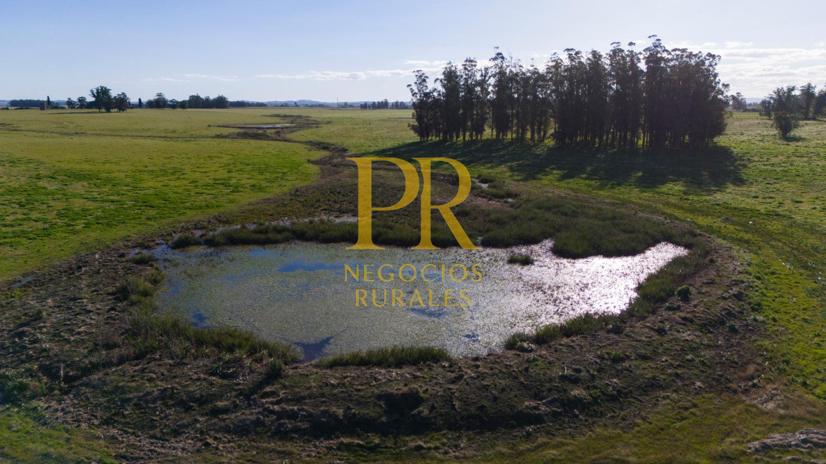 Chacra ID.13 - Chacra En Rocha - Balcones De Rocha - La Paloma Ruta 15