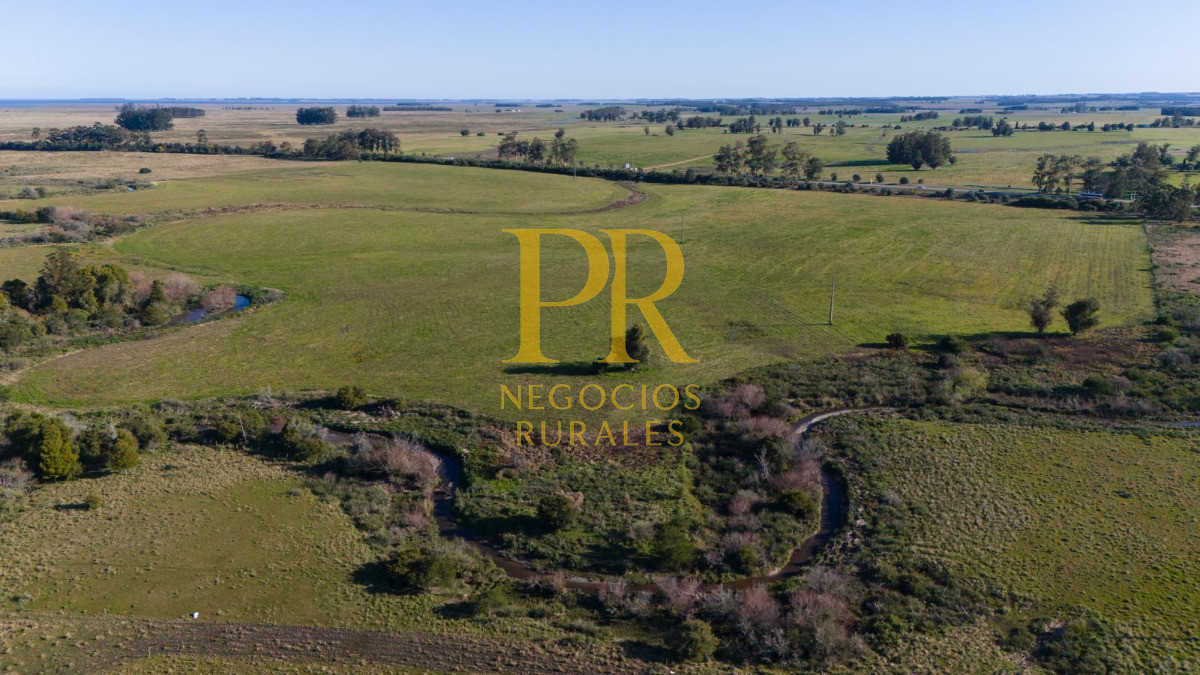 Chacra ID.13 - Chacra En Rocha - Balcones De Rocha - La Paloma Ruta 15