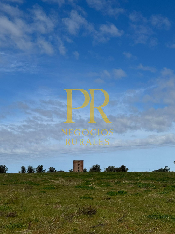 Chacra ID.13 - Chacra En Rocha - Balcones De Rocha - La Paloma Ruta 15