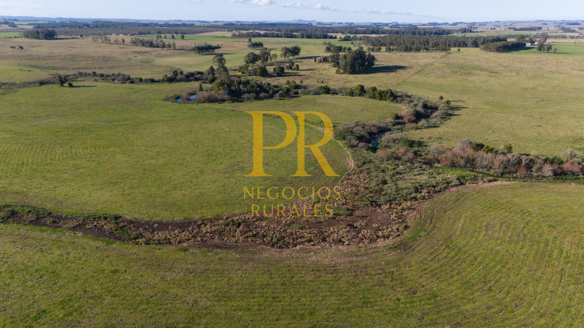 Chacra ID.13 - Chacra En Rocha - Balcones De Rocha - La Paloma Ruta 15