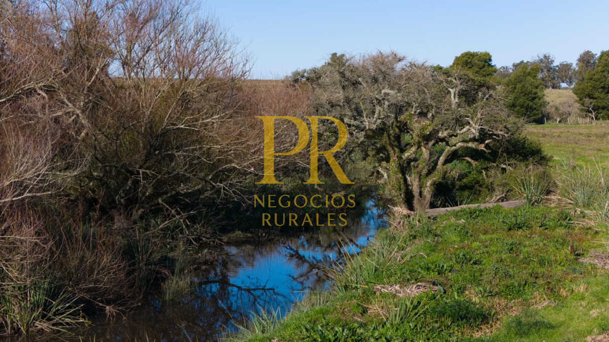 Chacra ID.13 - Chacra En Rocha - Balcones De Rocha - La Paloma Ruta 15