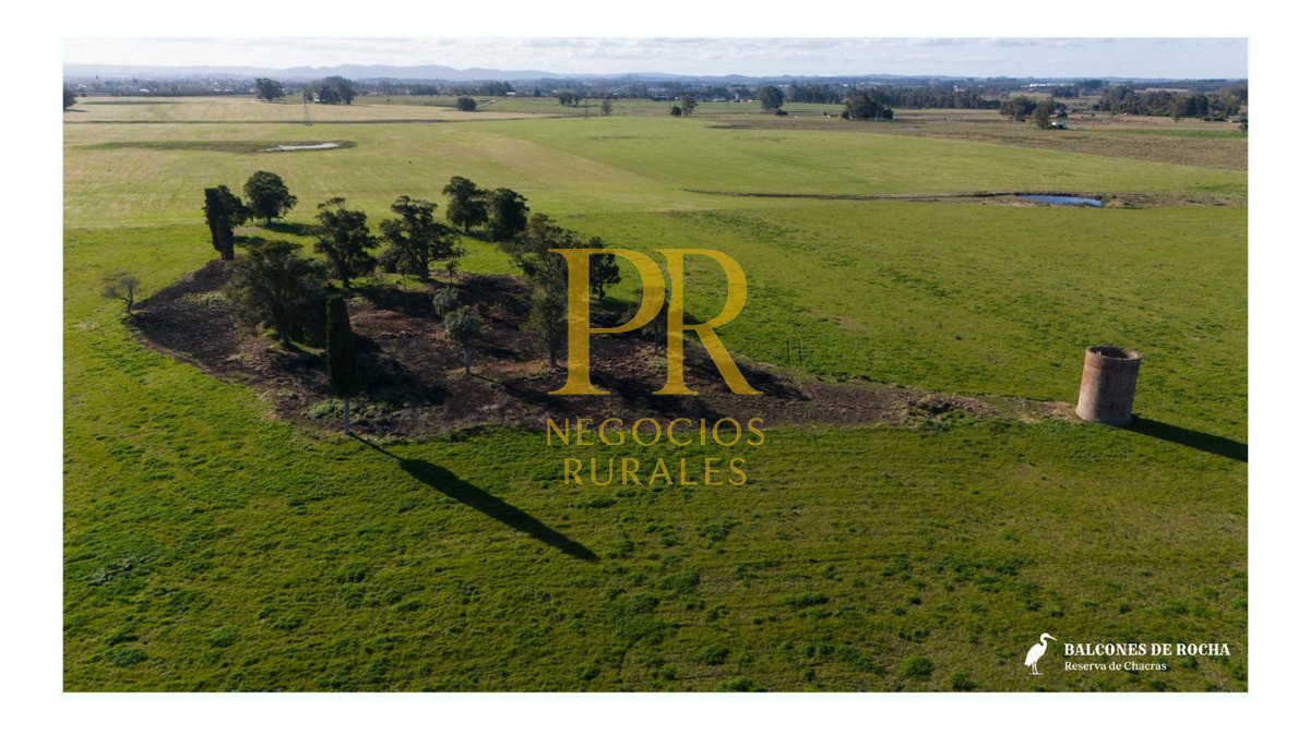 Chacra ID.13 - Chacra En Rocha - Balcones De Rocha - La Paloma Ruta 15