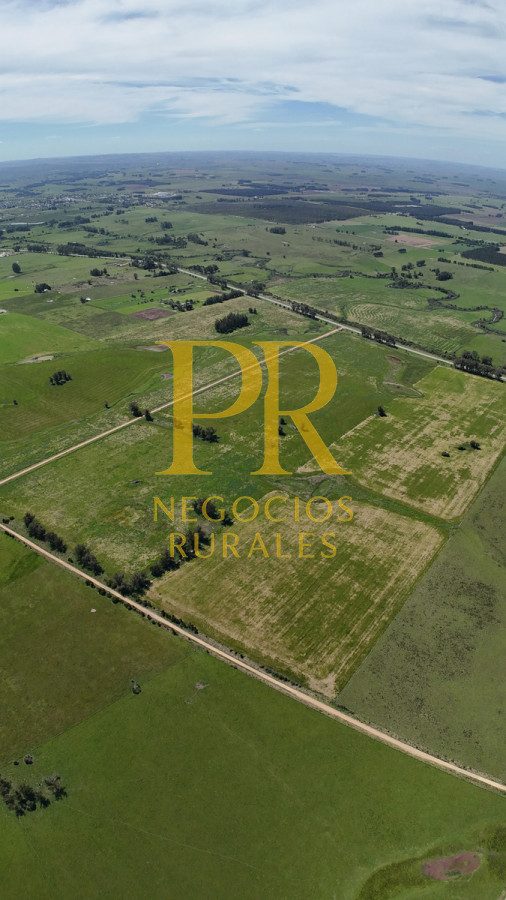 Chacra ID.13 - Chacra En Rocha - Balcones De Rocha - La Paloma Ruta 15