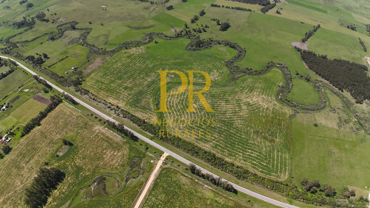 Chacra ID.13 - Chacra En Rocha - Balcones De Rocha - La Paloma Ruta 15