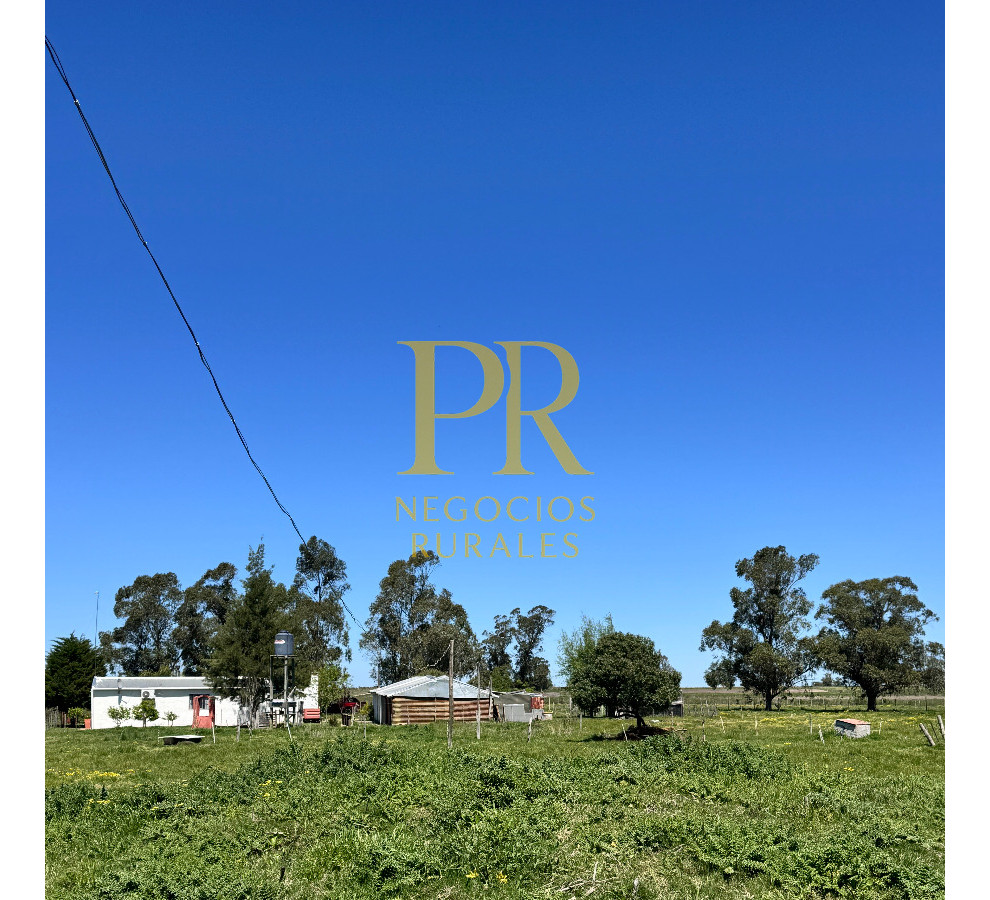 Chacra ID.18 - Chacra próximo a Migues - Costas de Pedernal