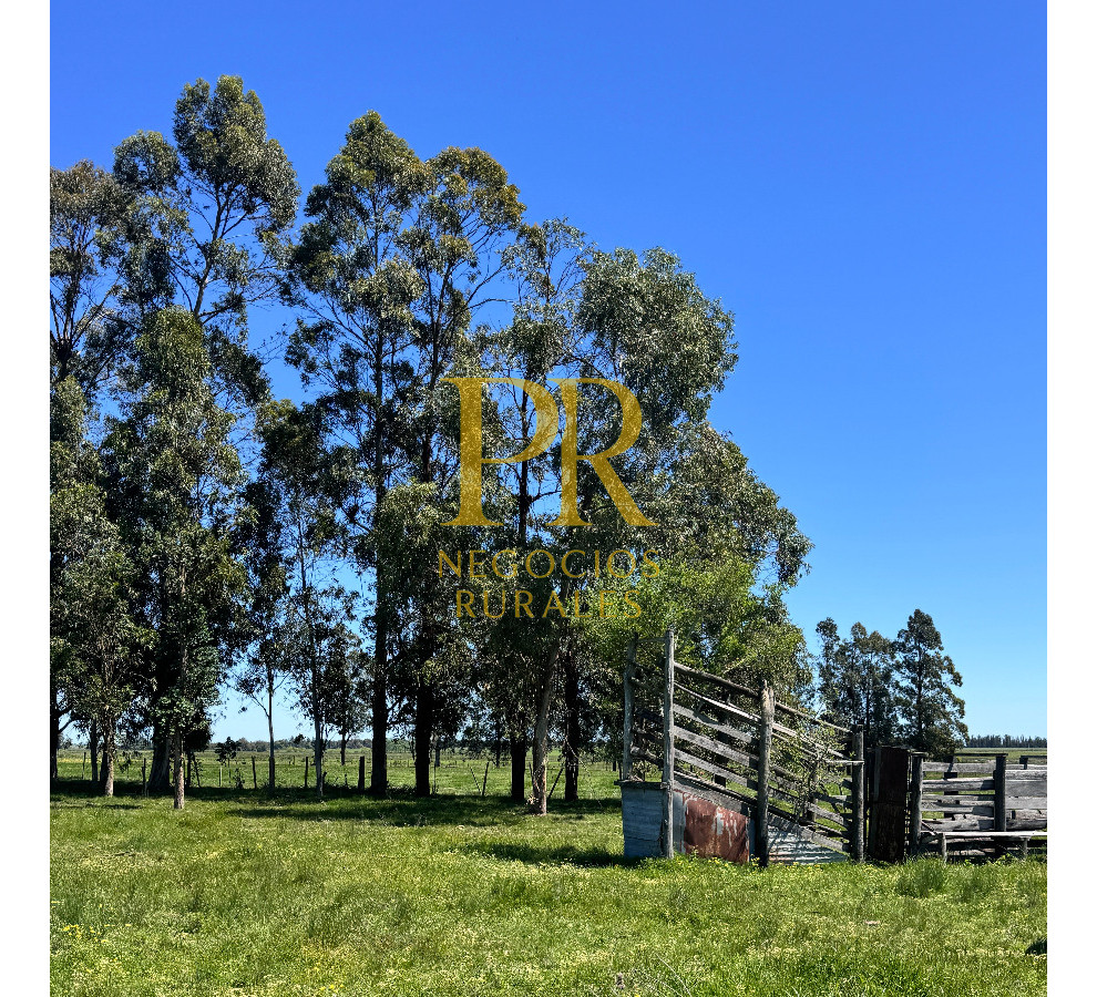 Chacra ID.18 - Chacra próximo a Migues - Costas de Pedernal