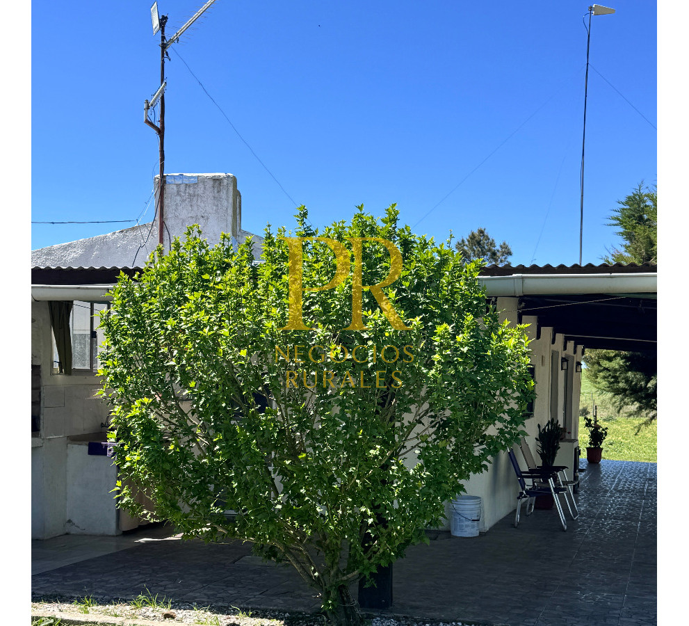 Chacra ID.18 - Chacra próximo a Migues - Costas de Pedernal