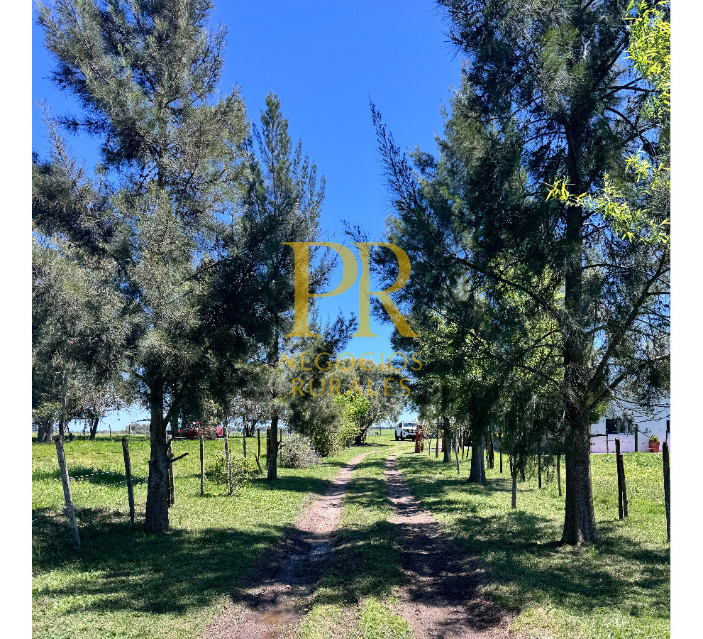 Chacra ID.18 - Chacra próximo a Migues - Costas de Pedernal