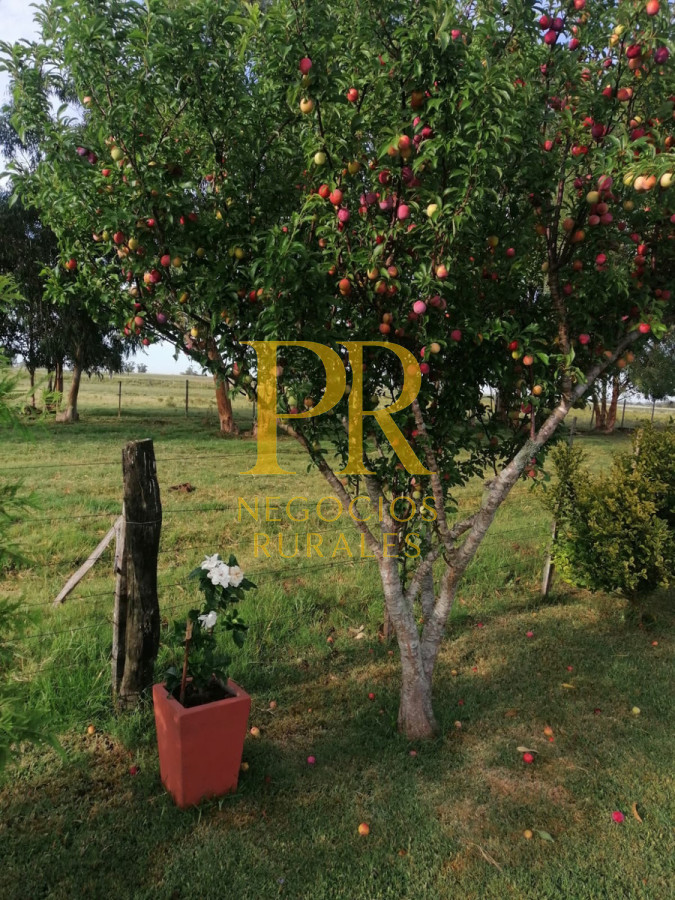 Chacra ID.18 - Chacra próximo a Migues - Costas de Pedernal