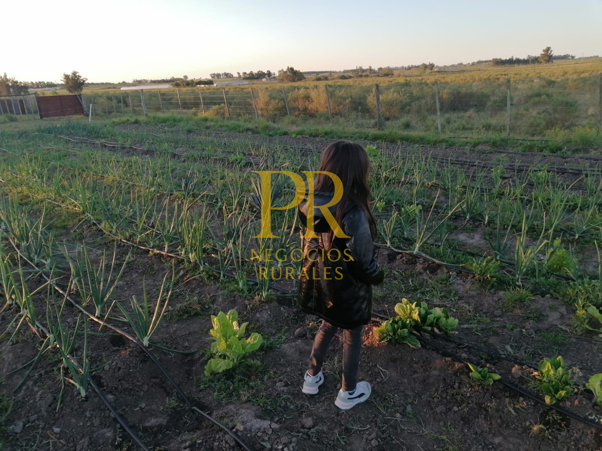 Chacra ID.18 - Chacra próximo a Migues - Costas de Pedernal