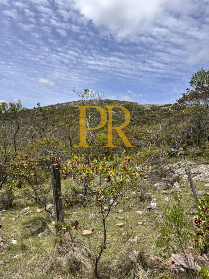 Chacra ID.27 - Chacra 5 hectáreas en Las Cañas Maldonado