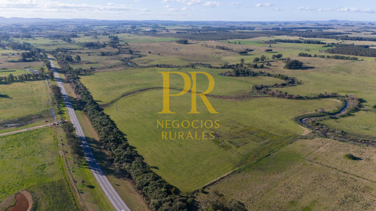 Chacra ID.13 - Chacra En Rocha - Balcones De Rocha - La Paloma Ruta 15