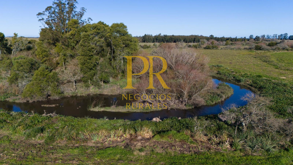 Chacra ID.13 - Chacra En Rocha - Balcones De Rocha - La Paloma Ruta 15