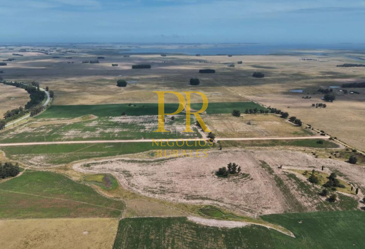 Chacra ID.13 - Chacra En Rocha - Balcones De Rocha - La Paloma Ruta 15