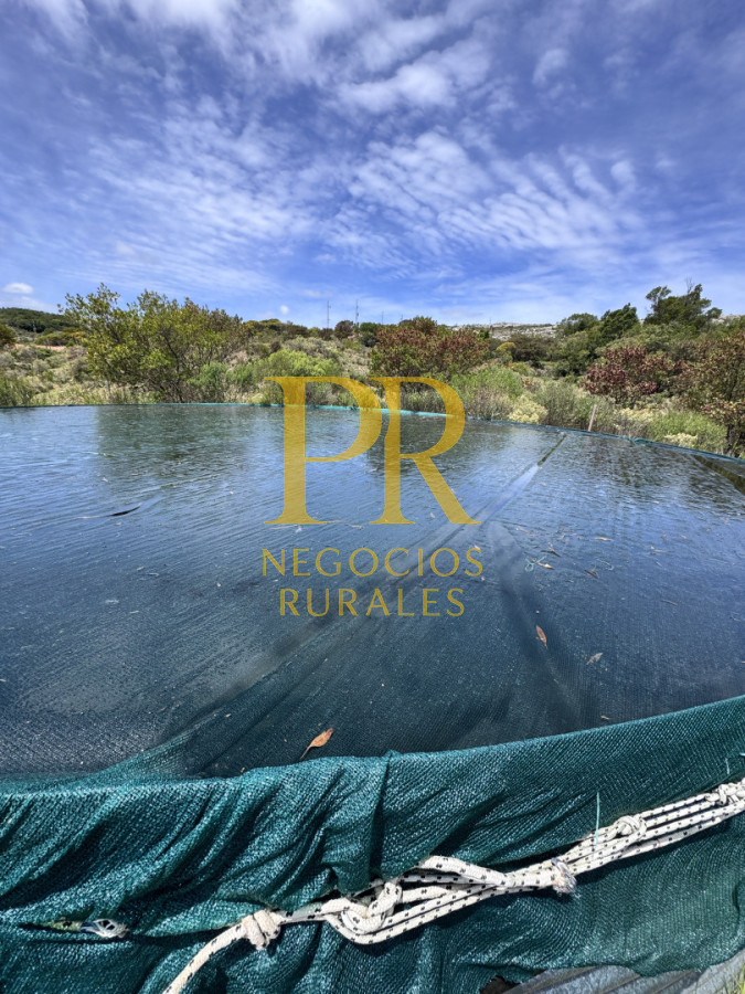 Chacra ID.27 - Chacra 5 hectáreas en Las Cañas Maldonado