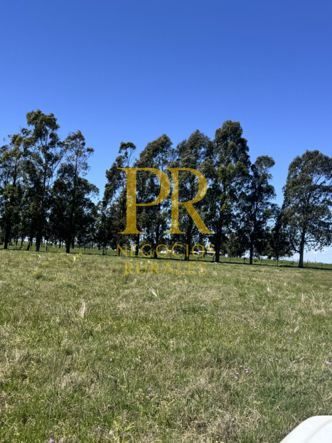 Chacra ID.18 - Chacra próximo a Migues - Costas de Pedernal