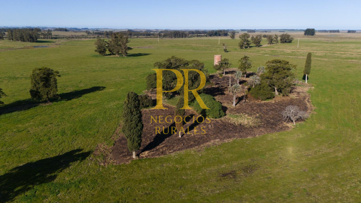 Chacra ID.13 - Chacra En Rocha - Balcones De Rocha - La Paloma Ruta 15