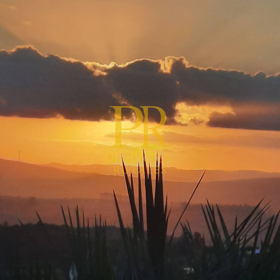 Chacra ID.27 - Chacra 5 hectáreas en Las Cañas Maldonado