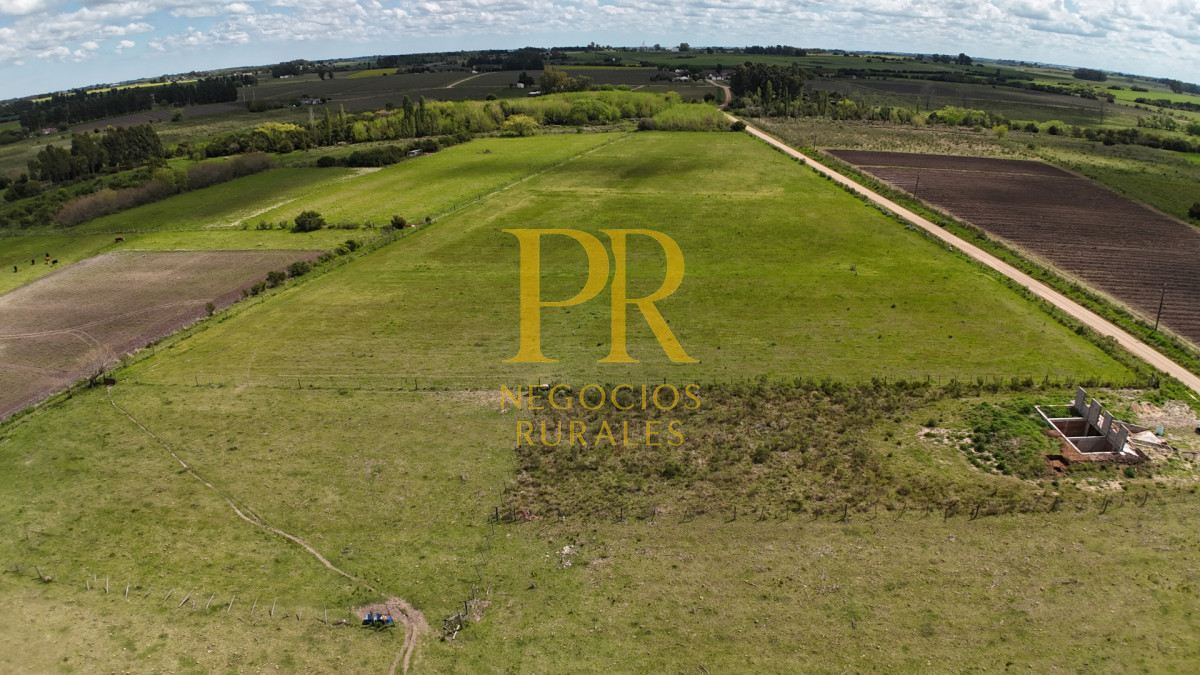 Chacra ID.5 - Campo en Las Violetas Canalones 4.5 hectáreas