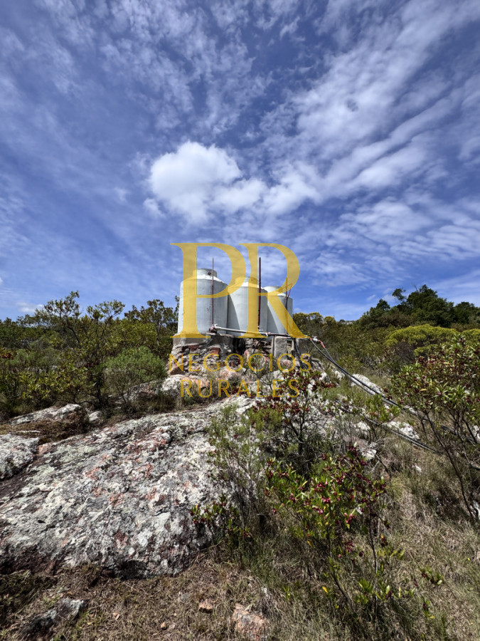 Chacra ID.27 - Chacra 5 hectáreas en Las Cañas Maldonado