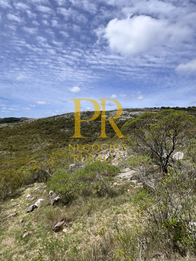 Chacra ID.27 - Chacra 5 hectáreas en Las Cañas Maldonado