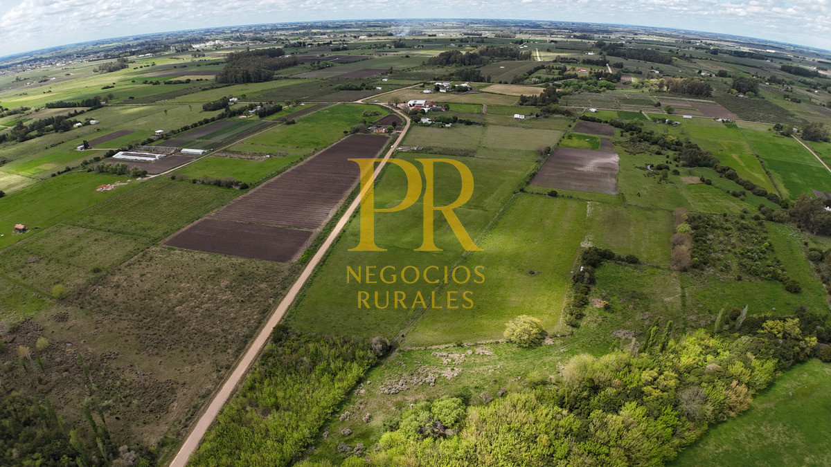 Chacra ID.5 - Campo en Las Violetas Canalones 4.5 hectáreas