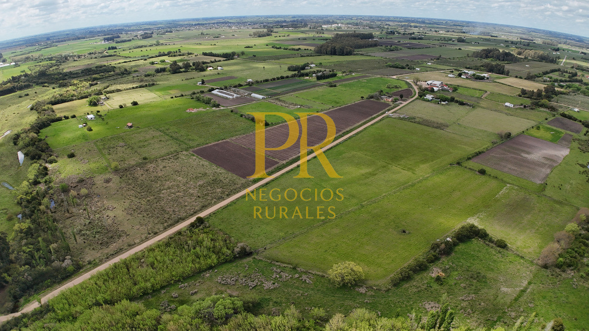 Chacra ID.5 - Campo en Las Violetas Canalones 4.5 hectáreas