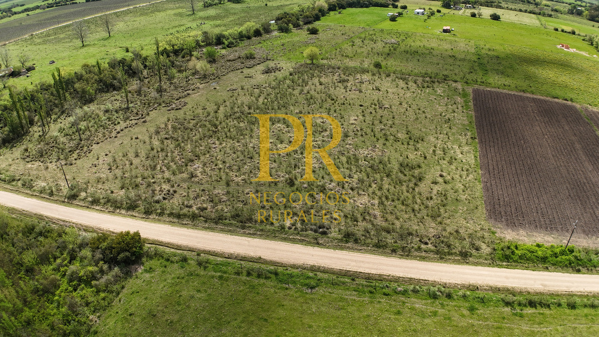 Chacra ID.5 - Campo en Las Violetas Canalones 4.5 hectáreas